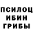 Псилоцибиновые грибы Magic Shrooms Valeriy Shatalov
