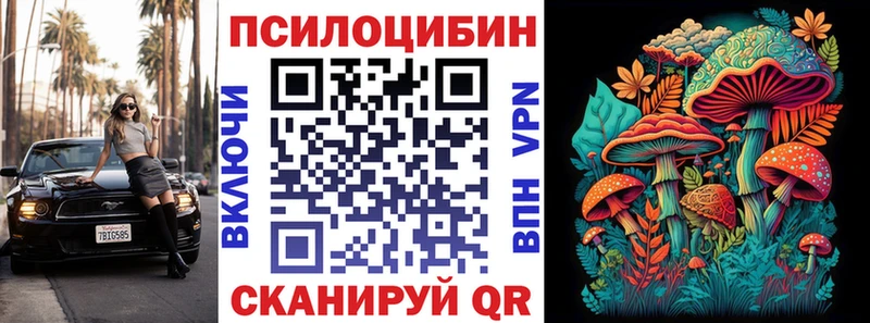 Купить закладки  Кондрово  Псилоцибиновые грибы MAGIC MUSHROOMS 